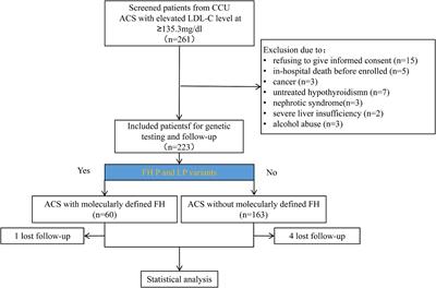 Prevalence and prognosis of molecularly defined familial hypercholesterolemia in patients with acute coronary syndrome